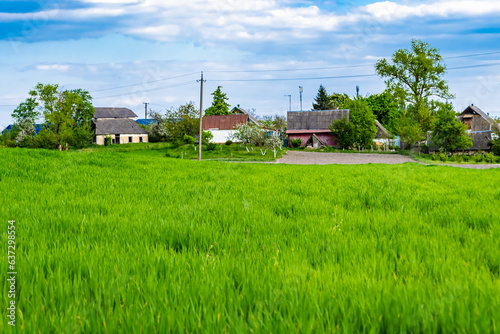 Beautiful horizon scenery in village meadow on color natural background