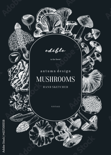 Forest mushrooms background on chalkboad. Edible mushrooms wreath, vintage card design. Fungi, healthy food, vegan product sketches. Autumn hand-drawn vector illustration. Engraved design template