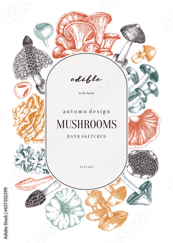 Forest mushrooms background. Edible mushrooms frame, vinatge card design. Fungi, healthy food, vegan product sketches. Autumn hand-drawn vector illustration. Engraved style design template