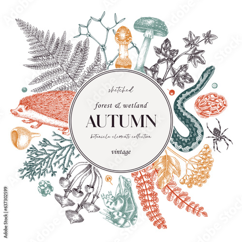 Autumn card or invitation. Forest plants design. Fall wreath with fall leaves and woodland animals. Falling leaves, mushrooms, ferns sketches. Hand drawn vector illustration