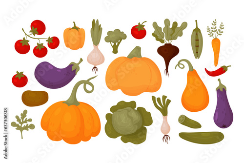 Vegetables big collection. Fresh tomatoes, pumpkin, eggplant, pepper, peas with carrot, cucumbers, beetroot and cabbage with onion. Isolated vector colored fruits in cartoon flat style. Healthy food.