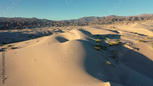 Tulipanes y paisajes en Catamarca, Argentina 