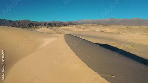 Tulipanes y paisajes en Catamarca, Argentina 