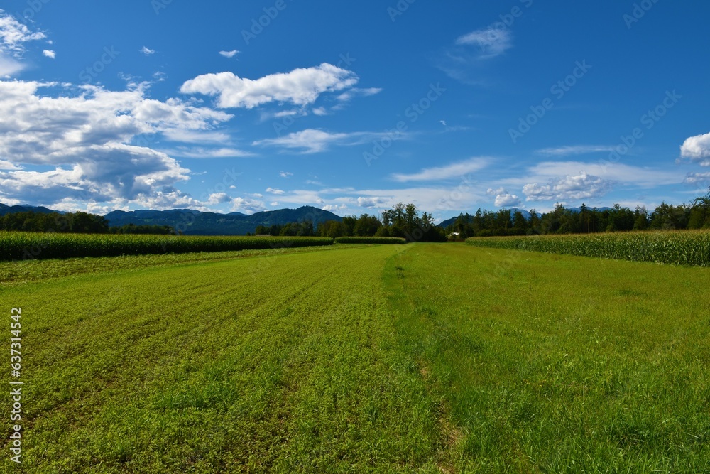 Green fields at Sorsko polje in Gorenjska, Slovenia and Jost hill