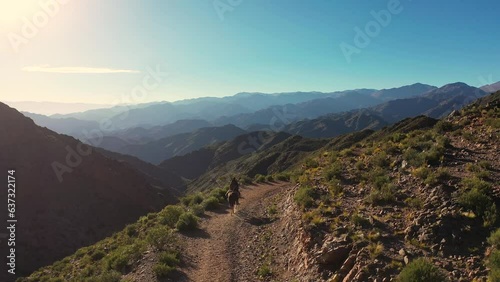 Tulipanes y paisajes en Catamarca, Argentina 