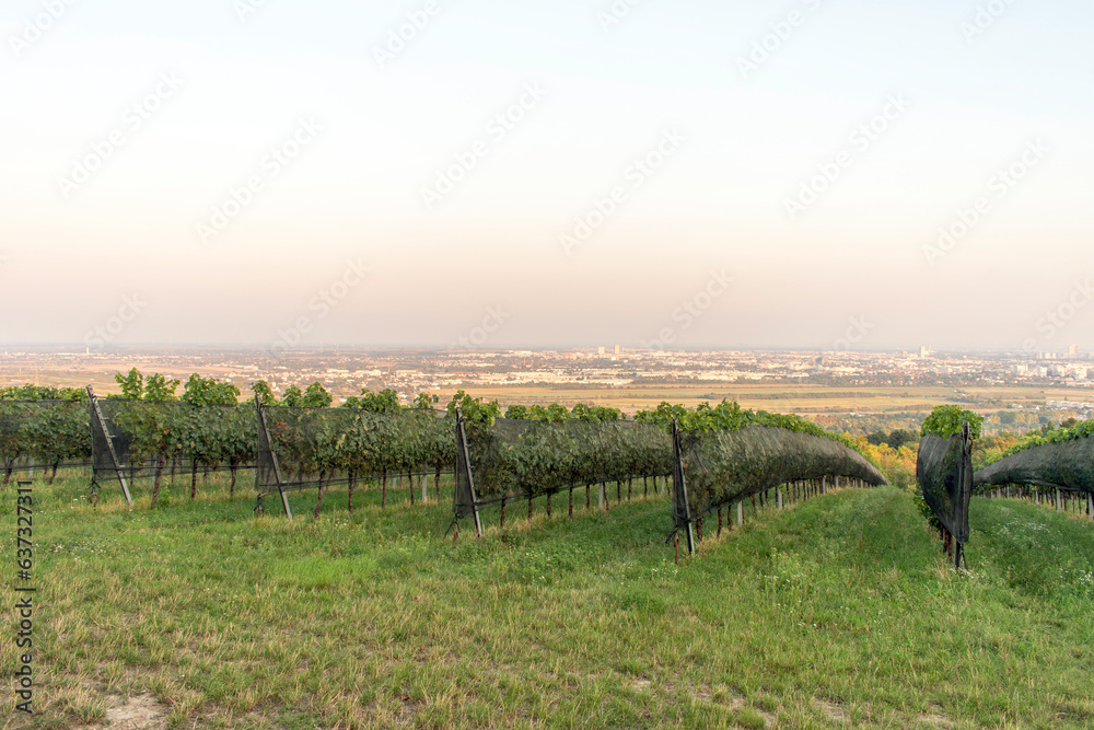 Fototapeta premium Vienna's Sky View: Floridsdorfer Panorama Observation Deck.