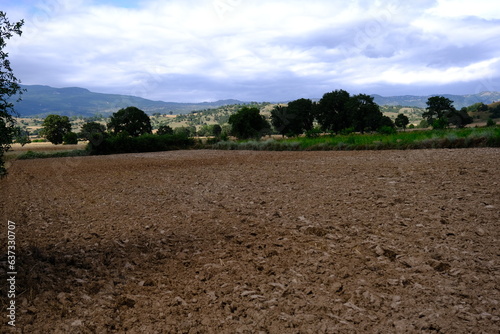 plowed field and blue sky