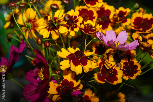 close-up photo of a flowers