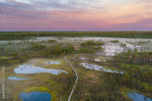 Fototapeta Naklejka Na Ścianę i Meble -  Landscape on the Estonian Viru swamp in the early summer morning.