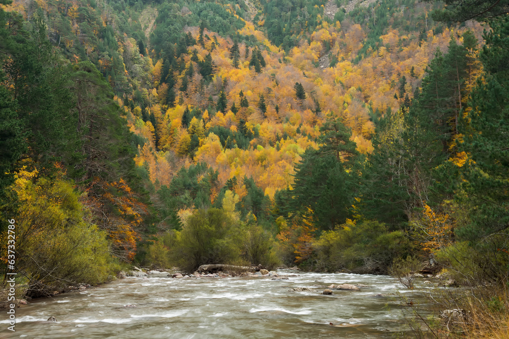 Pyrenees forest in autumn season Pyrenees forest in autumn season