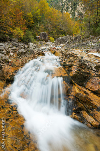 Fototapeta Naklejka Na Ścianę i Meble -  Pyrenees forest in autumn season