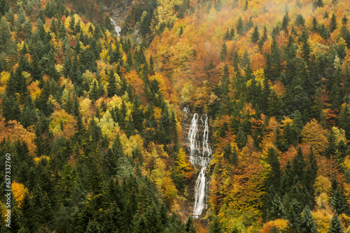 Pyrenees forest in autumn season