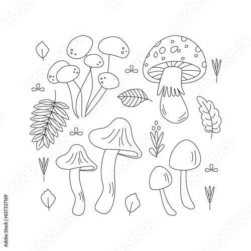 Mushroom, leaves. Hello autumn. Autumn season element, icon. Line art.