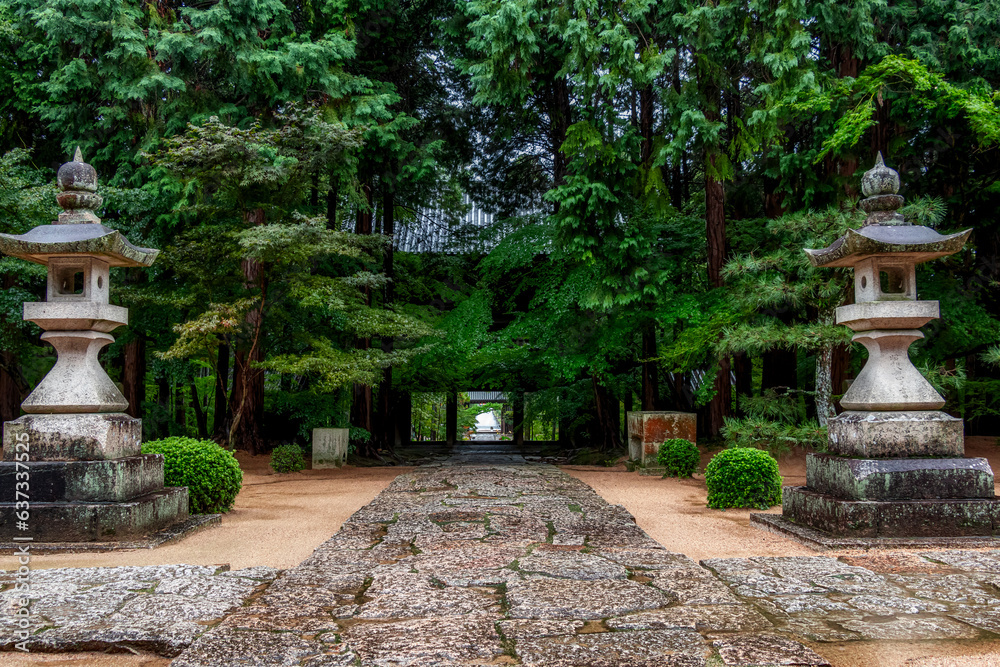 新緑が美しい曹源寺