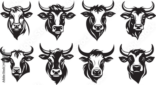 Cow head mascot variant set. Cattle isolate on white. Farm animal illustration.