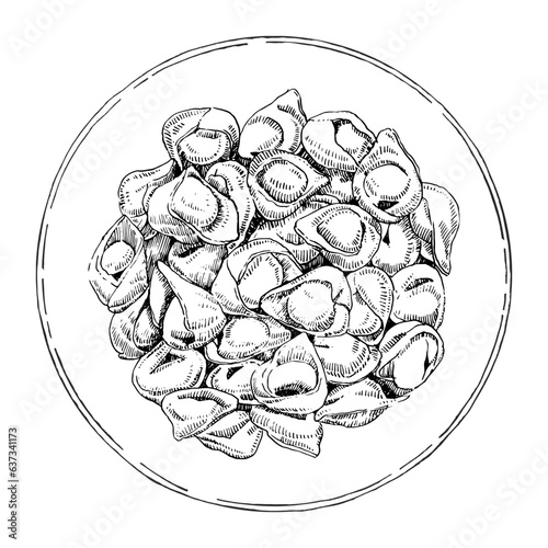 Traditional italian dishes. Hand-drawn illustration of Tortellini. Vector. Ink drawing. 