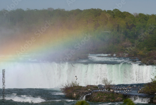 Niagara Falls with Rainbow and Seagulls