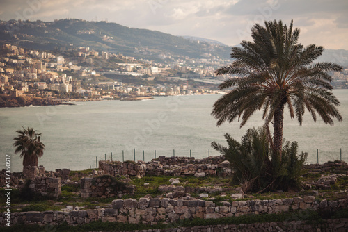 Ruins of the old roman city. It is can be seen the columns of the temple. Landscape shot of an old city. Old monument of antique column. Archeological site classical heritage for tourist. Lebanon.
