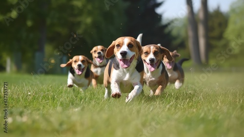 Cute funny beagle dogs group running and playing on green grass in park in autum, Generative AI