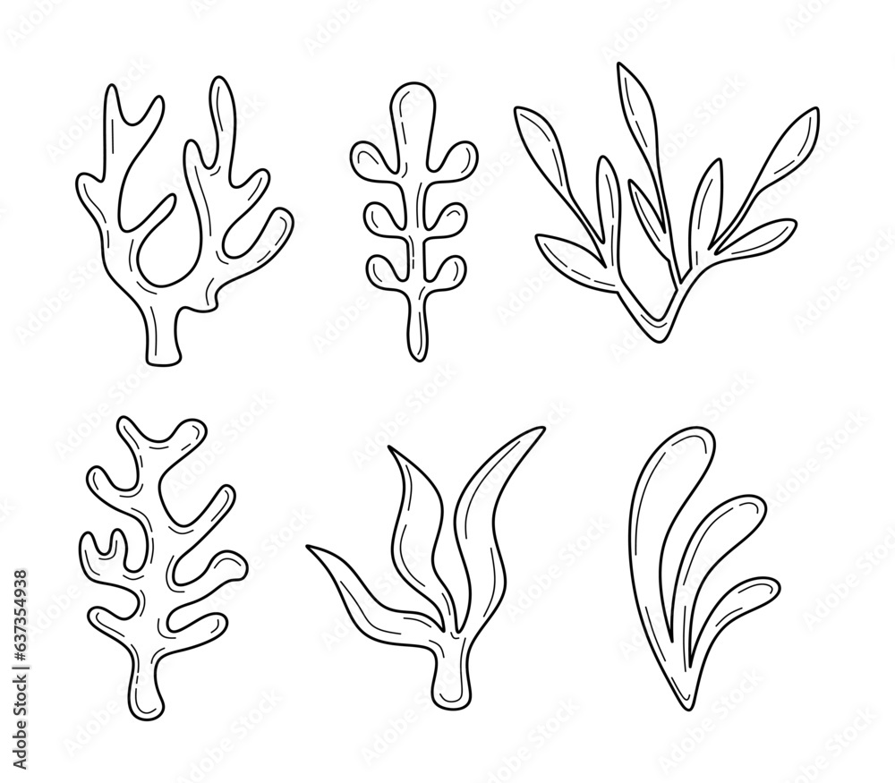 Hand drawn Seaweed shapes set. Sketch of Aquarium plants and underwater ...