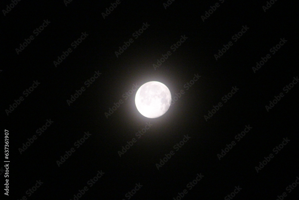 moon 月 moon 月