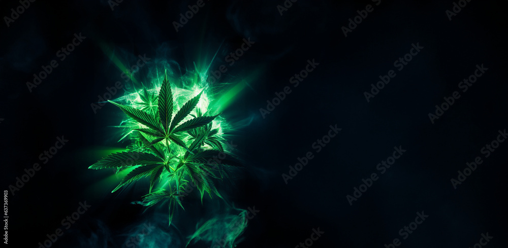 Marijuana Pflanze mit dunklen Hintergrund als Querformat für Banner, ai generativ Marijuana Pflanze mit dunklen Hintergrund als Querformat für Banner, ai generativ