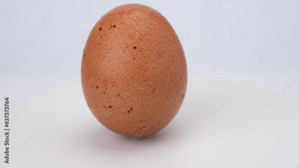 Egg turning isolated on white background. Brown shelled chicken egg close-up Egg turning isolated on white background. Brown shelled chicken egg close-up