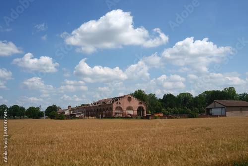 Cultivated fields near Voghera, Italy, at June