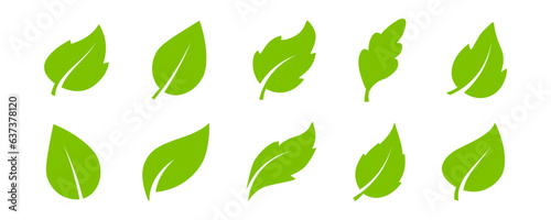 Set of leaf icons in flat style. Collection with green leaves. Environment and nature eco sign. Organic, eco, green product. Ecology. Nature element vector icons for graphic design. Beauty product