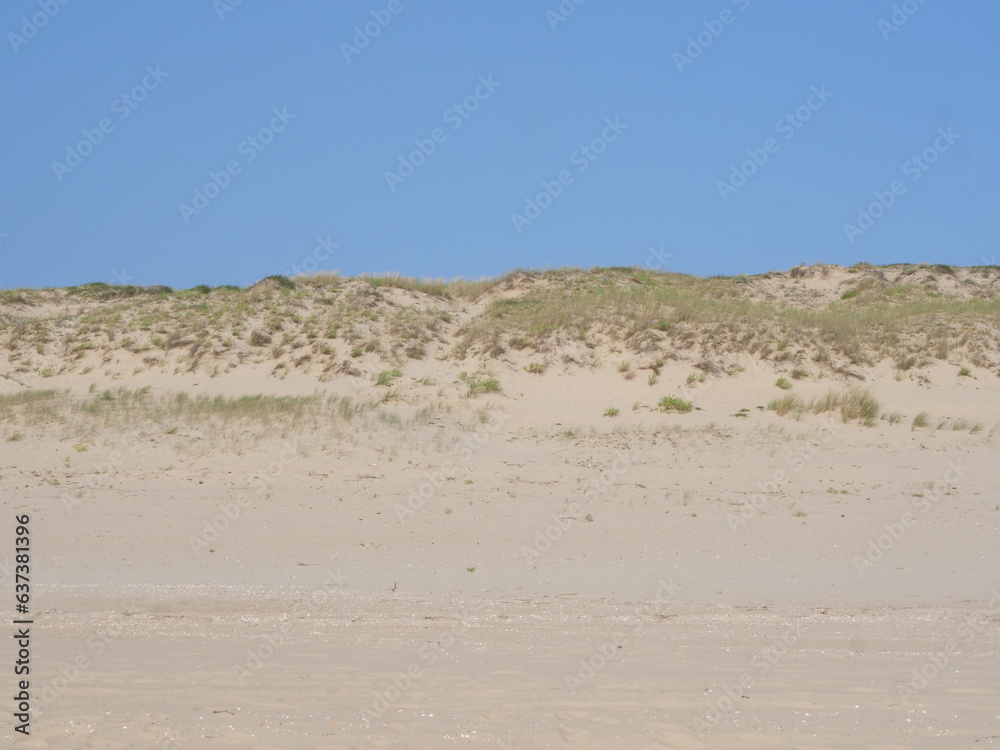 The sand dunes on the Atlantic shore. Cap Ferret, France, summer 2023. The sand dunes on the Atlantic shore. Cap Ferret, France, summer 2023.