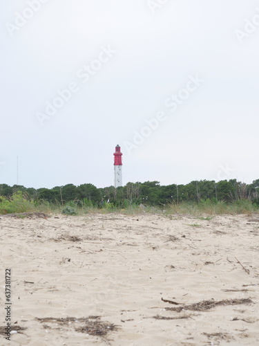 The lighthouse of le Cap Ferret in the background. June 2023  France.