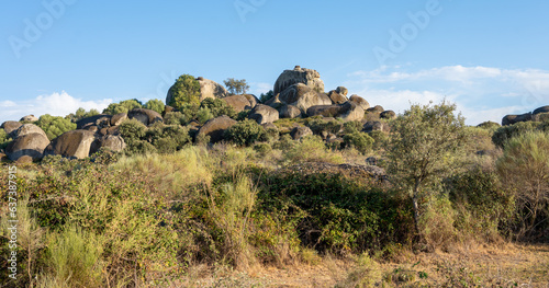 A Late Afternoon View of a Rocky Hillside with Green Vegetation