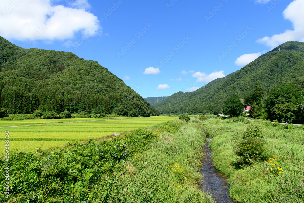 小川の流れる夏の日本の東北の風景