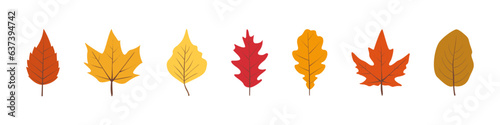 Autumn leaves set. Leaves icon set. Flat style.