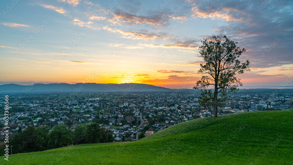 Fototapeta premium Panorama Sonnenuntergang über den Schweizer Bergen im Rheintal, einzelner Baum mit Blick auf Dornbirn, Vorarlberg, Austria. leuchtendes Abendrot, tolle Stimmung mit roten Wolken über den grünen Wiesen