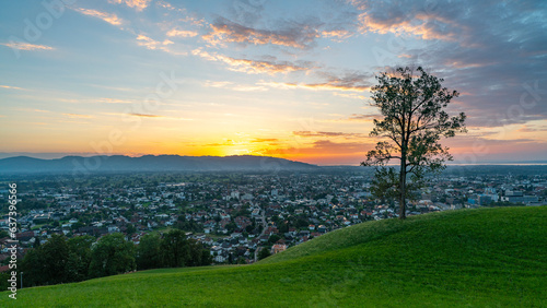 Panorama Sonnenuntergang   ber den Schweizer Bergen im Rheintal  einzelner Baum mit Blick auf Dornbirn  Vorarlberg  Austria. leuchtendes Abendrot  tolle Stimmung mit roten Wolken   ber den gr  nen Wiesen