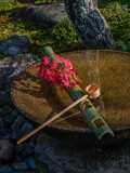 Tsukubai Water Fountain in Japanese Garden in Zuiganzan Enkouji Temple, Kyoto, Japan in autumn. With red maple leaves on the washbasin.