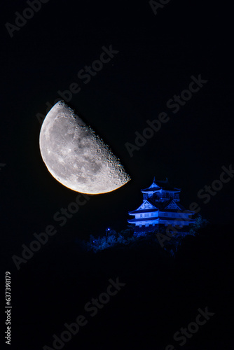 岐阜城と半月