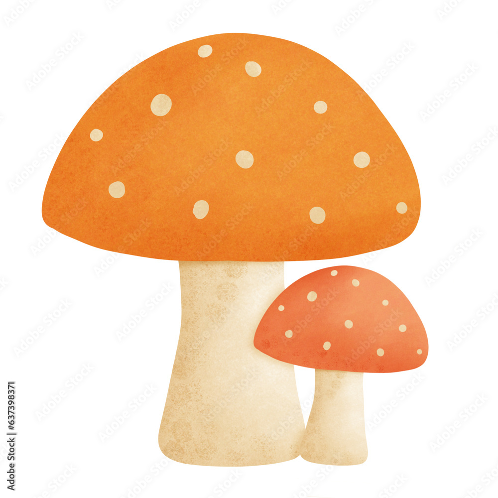 Autumn mushroom Autumn mushroom