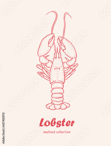 Lobster, seafood, logo, doodle,omar, line art ,seafood illustration , crustacean , crabs , crustaceans, seafood , crawfish, watercolor, food illustrations	