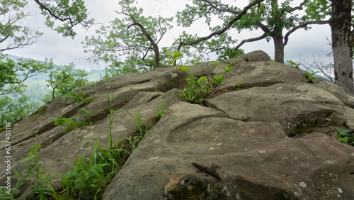 Mountain landscape with big stones and tree branches on the sides. Lazarevskoye, the end of a long route along the location of the Berendeyevo kingdom
