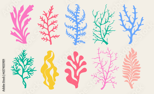 Abstract trendy seaweed  shape aesthetic silhouette.  Set of colorful elements. Vector Illustration