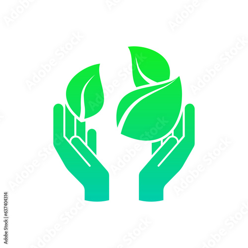 Holding Plant