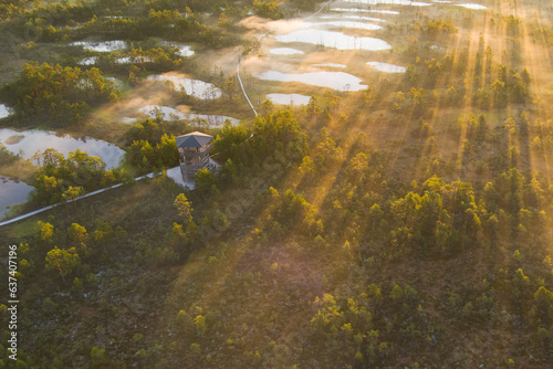 Observation tower in the Viru swamp at sunrise, photo from a drone.