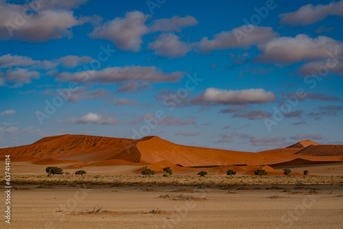 huge sand dunes in the Namib Desert with trees in the foreground of Namibia