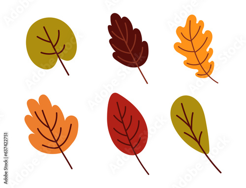 Free vector hand drawn autumn leaves