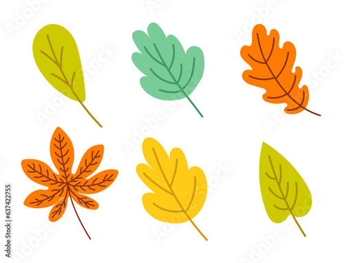 Free vector hand drawn autumn leaves
