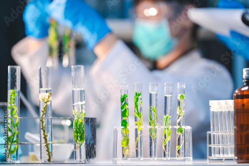 plant in medical pharmacy s...