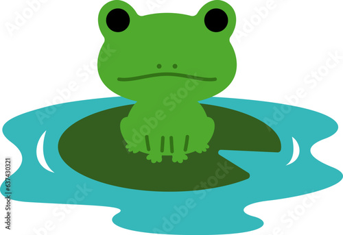 カエル　かえる　蛙　frog