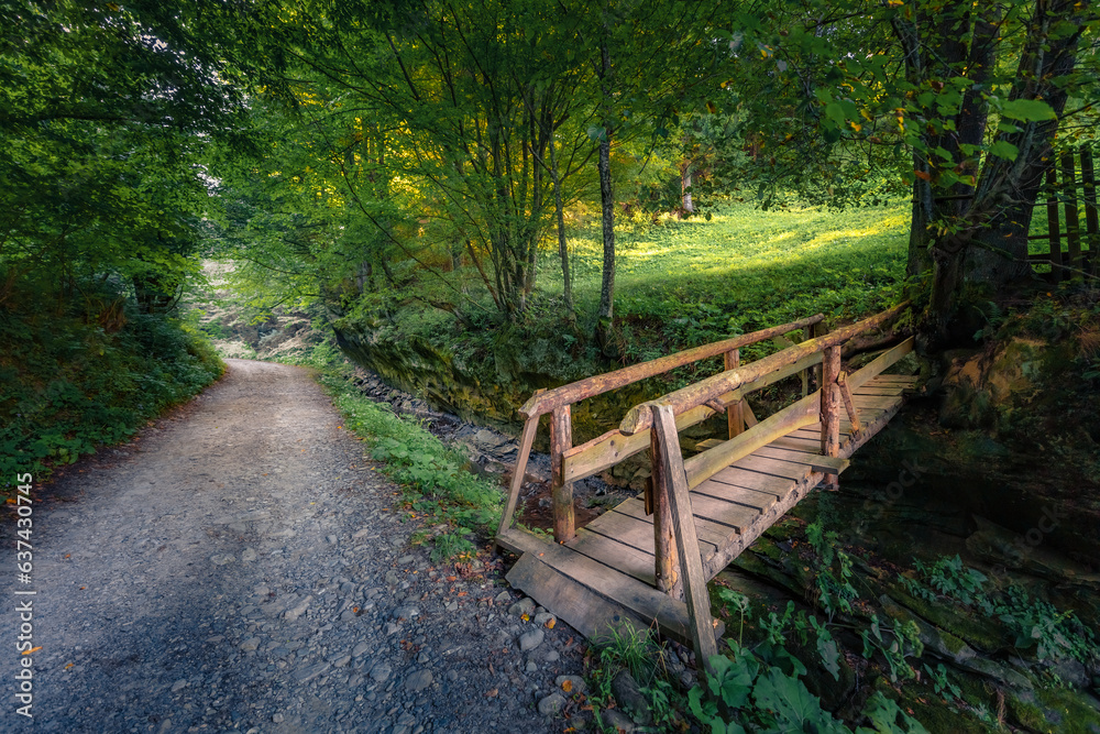 Gloomy summer scene of Vyzhnytsia National Park with old wooden bridge. Trekking in Carpathian mountains, Ukraine, Europe. Beauty of countryside concept background.. Gloomy summer scene of Vyzhnytsia National Park with old wooden bridge. Trekking in Carpathian mountains, Ukraine, Europe. Beauty of countryside concept background..